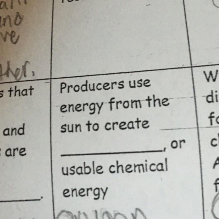 Producers use energy from the sun to create _________, or usable chemical energy?-example-1