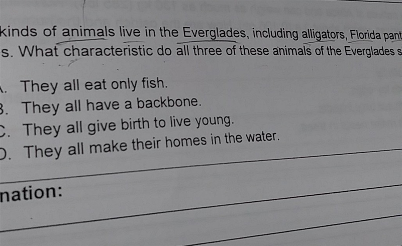 What does alligators florida Panthers and manatees have in common-example-1