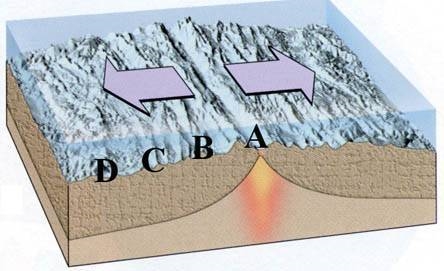 In the diagram of the ocean basin, where is the oldest oceanic crust found? A) B) C-example-1