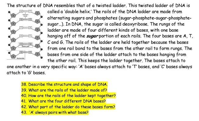 Can you help me answer 38-43?-example-1