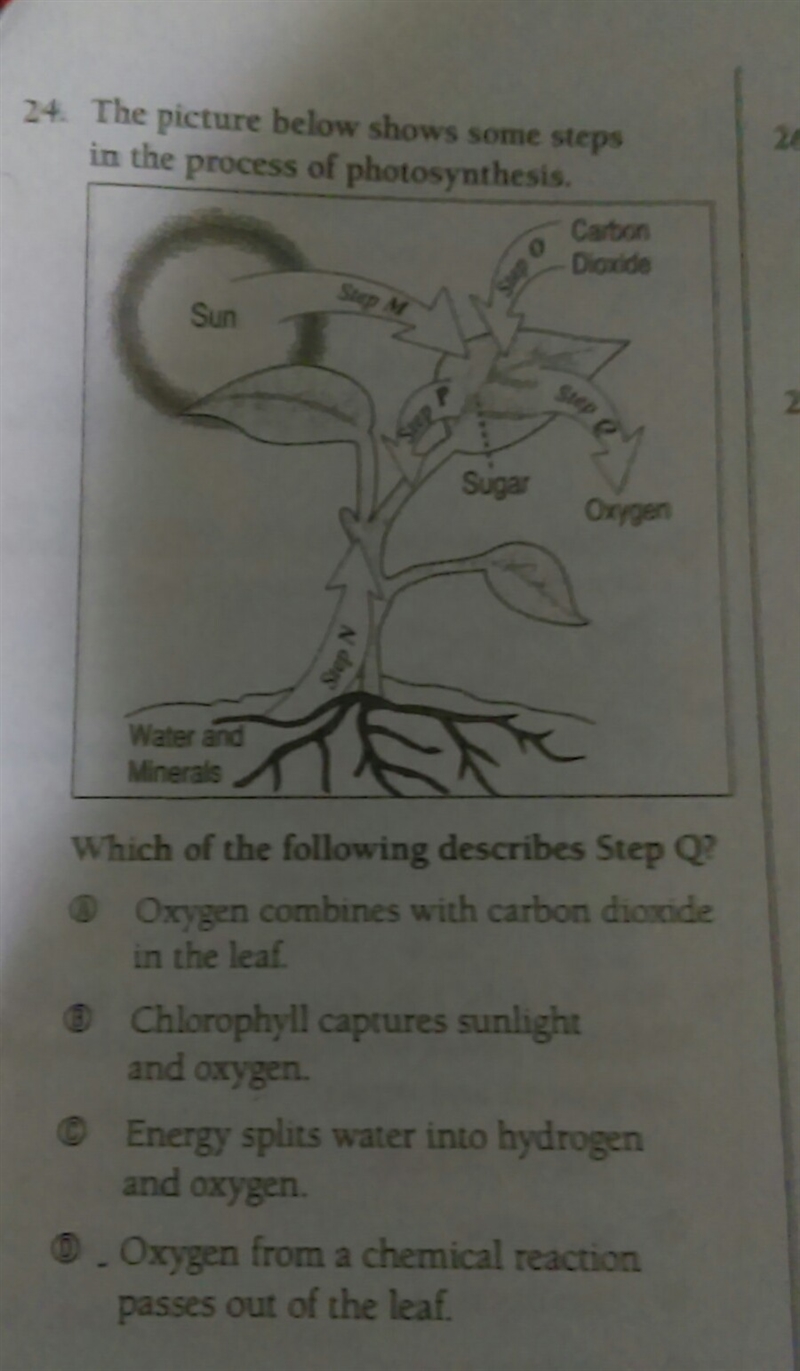 Which of the following describes Step Q?-example-1