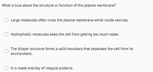 Science question down below-example-1