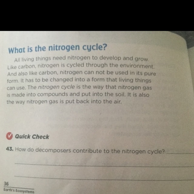 How do decomposes contribute to the nitrogen cycle?-example-1