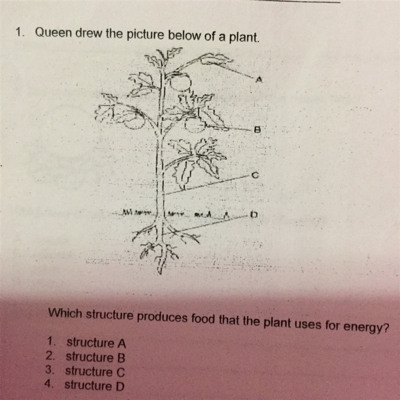 Can someone please help me-example-1