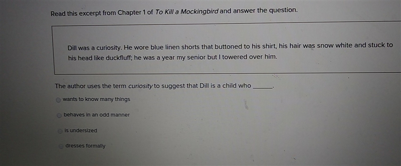 The author uses the term curiosity to suggest that dill is a child who_.-example-1