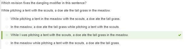 Which revision fixes the dangling modifier in this sentence? While pitching a tent-example-1