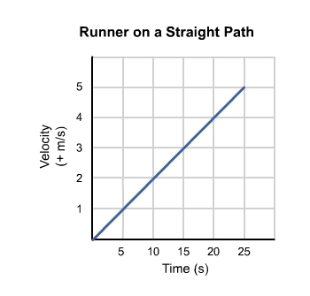 This graph shows the velocity of a runner moving along a straight path over time. According-example-1