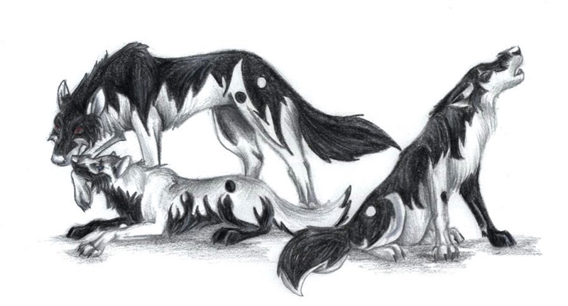 Can anyone help me by describing the two wolves that are next to each other???? this-example-1