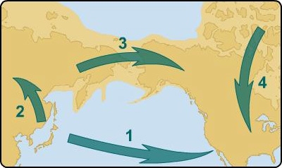 Which number on the map indicates the route of many of the earliest migrations to-example-1