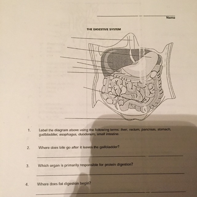 Where does bile go after it leaves the gallbladder-example-1