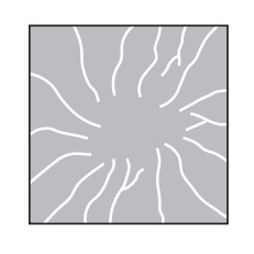 The map below shows a stream drainage pattern where the streams radiate outward from-example-1