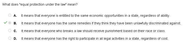 In a legal case, what does equal protection under the law mean?-example-1