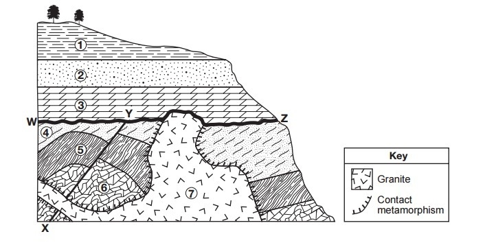 Name one sedimentary rock that was most likely metamorphosed to form rock unit 6.-example-1