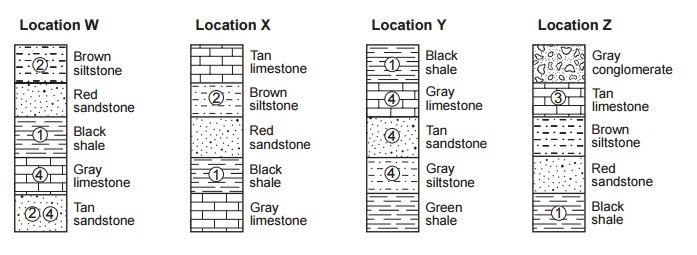 Base your answers to questions 48 through 50 on the rock columns below and on your-example-1