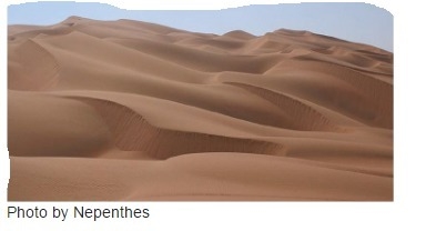 The __________ is also known as the “Empty Quarter” because of its harsh sand dunes-example-1