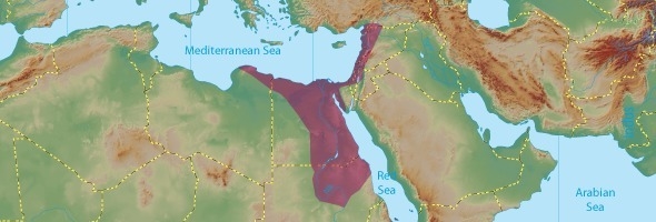 Which empire is highlighted in red below? A. Assyrian B. Egyptian C. Babylonian D-example-1