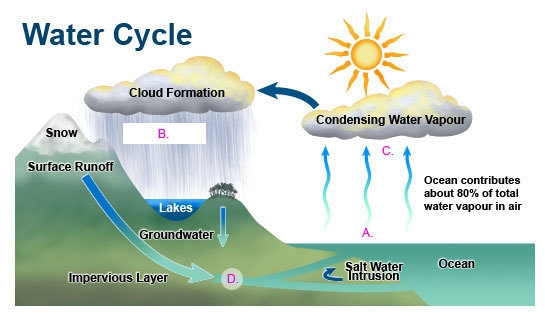 Referring to the diagram , which letter represents condensation?-example-1