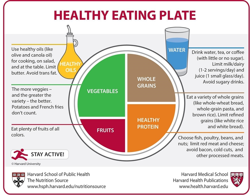 some Foods belong in more than one category on my plate. which Is an example? Milk-example-1