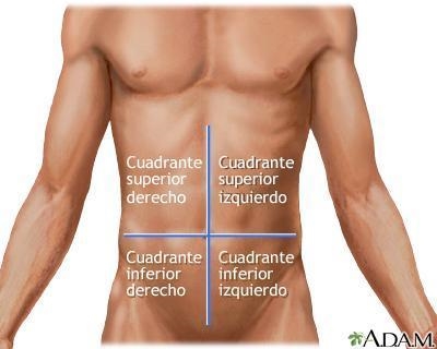 When medical professionals talk about the abdomen, they divide it into four sections-example-1