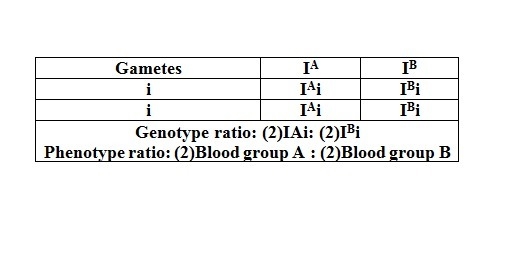 Jessica's mother has the blood type ab and her father has the blood type o. what are-example-1