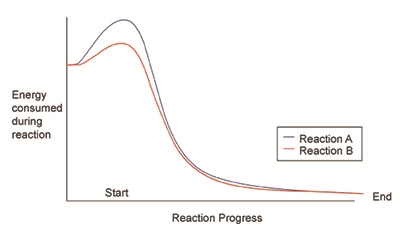 35 POINTS!!!!!!!! The graph above shows the progress of an enzyme-catalyzed chemical-example-1