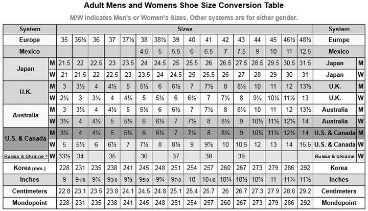 What are shoes equivalent sizes in italy vs America-example-1