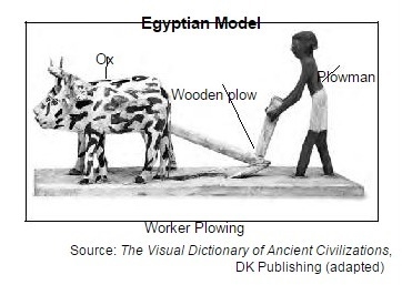 " The activity portrayed in this model could be used as evidence to argue that-example-1