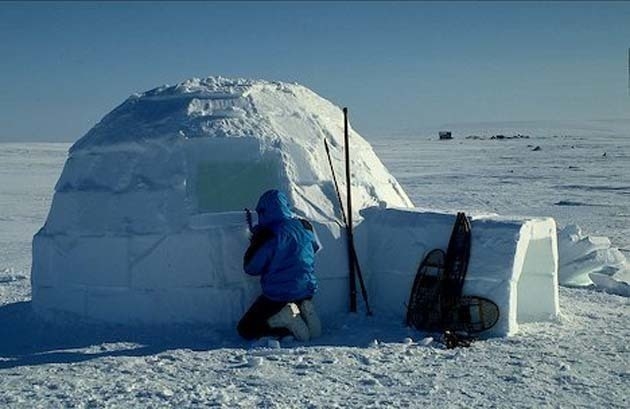 A brief history of the Inuit and where they reside?-example-2