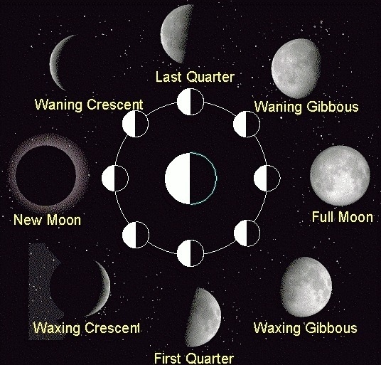 During which phase do we not see the moon at all-example-1