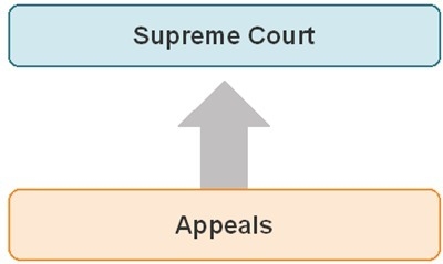 The diagram shows one way that cases reach the Supreme Court. The diagram is an example-example-1