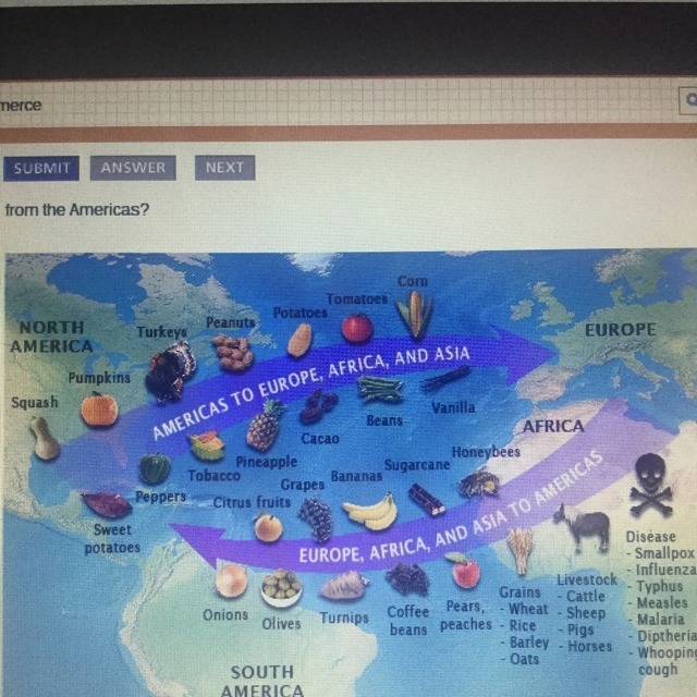 This map illustrates the Columbian Exchange. Which contribution to the European diet-example-1