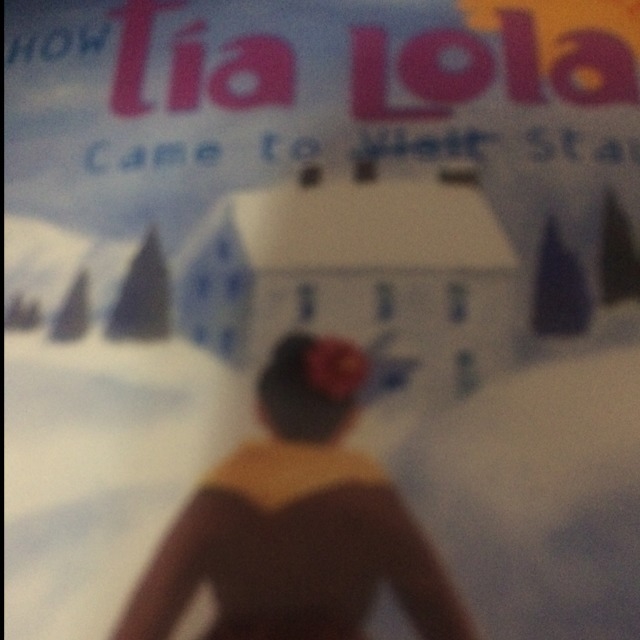 In chapter 4 in "Tia Lola came to visit / stay" what's the main idea?-example-1