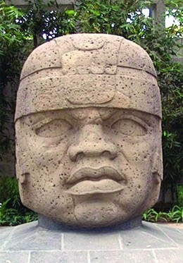 The Olmec are most famous for their massive head sculptures made of _____. 1 stone-example-1