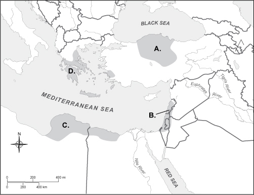 In which region on the map did the Hebrew people settle? A. A B. B C. C D. D-example-1