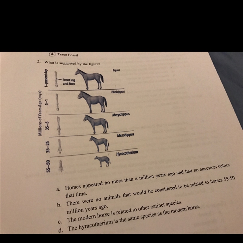 What the answer to this problem-example-1