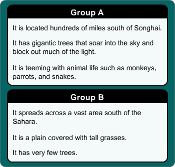 Which group of statements best describes the rain forest? A. Group A B. Group B-example-1