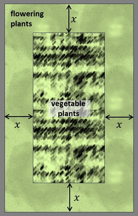 If the area around the vegetable garden is of uniform width (labeled with x) and the-example-1