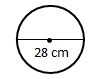 Estimate the area of the circle use 22/7 (fraction) as pie-example-1