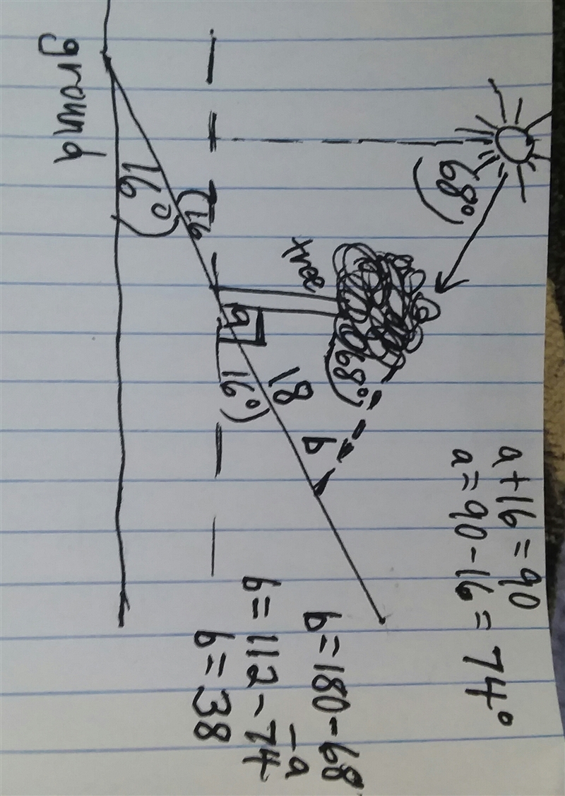 a tree grows vertically along a hillside,the hill is at 16 degrees angle to the horizontal-example-1