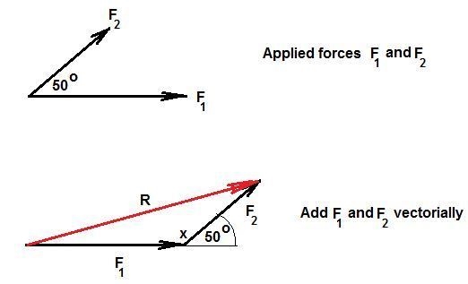 Alicia draws a diagram to represent two forces, F1 and F2, acting on a body. The angle-example-1