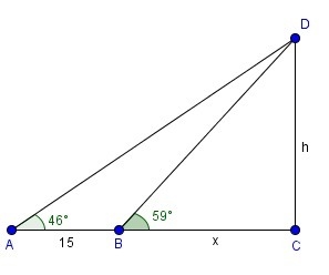 How tall is the tree?-example-1