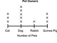 Samy recorded the number of different types of pets his friends have in the table-example-1