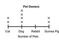 Samy recorded the number of different types of pets his friends have in the table-example-4