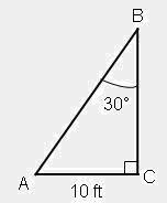 Which is the measure of line segment AB?-example-1