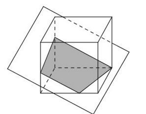 Describe the cross section.-example-1