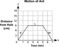 Need Help Asap Please The distance, y, in centimeters, of an ant from a hole in the-example-1