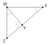 (GEOMETRY) If ΔYWZ ~ ΔYXW, what is true about XWZ? A. XWZ is an obtuse angle. B. XWZ-example-1