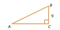 In the right triangle below, tanA = 0.45. What is the approximate length of AB? 10 units-example-1