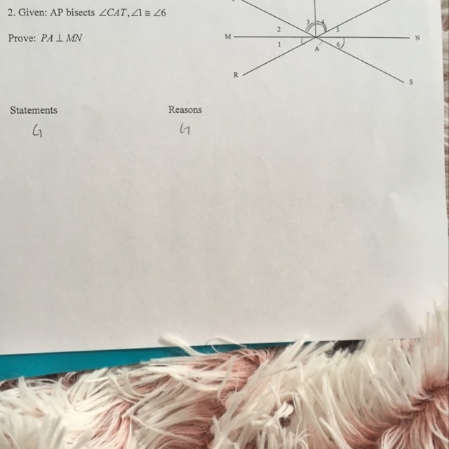 I need to know how to write a proof for why PA is perpendicular to MN-example-1