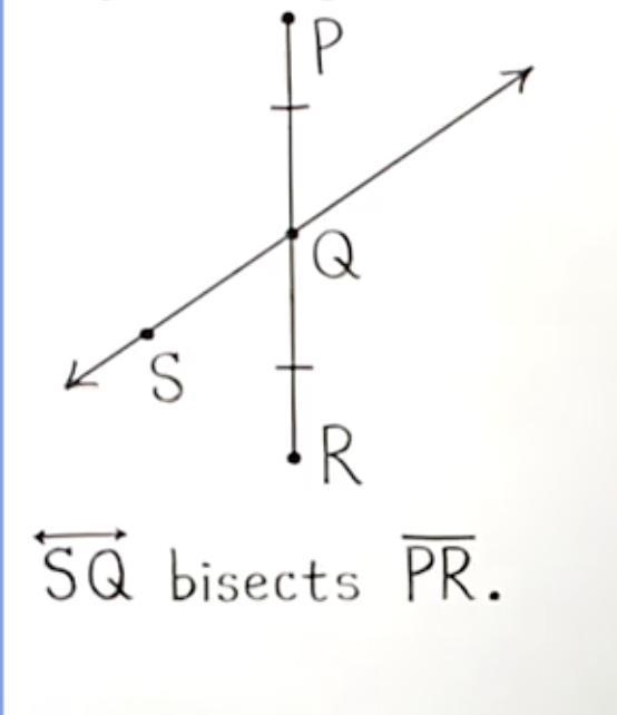 What is a segment bisector-example-1